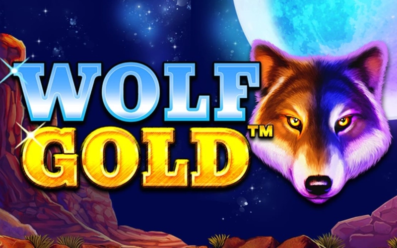 Buscá recompensas salvajes en la slot Wolf Gold operando en Melbet.